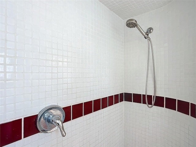 interior details with tiled shower