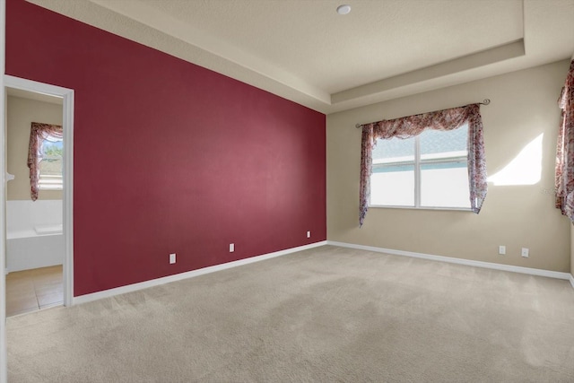 spare room with light carpet and a tray ceiling