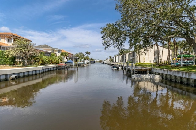 dock area with a water view