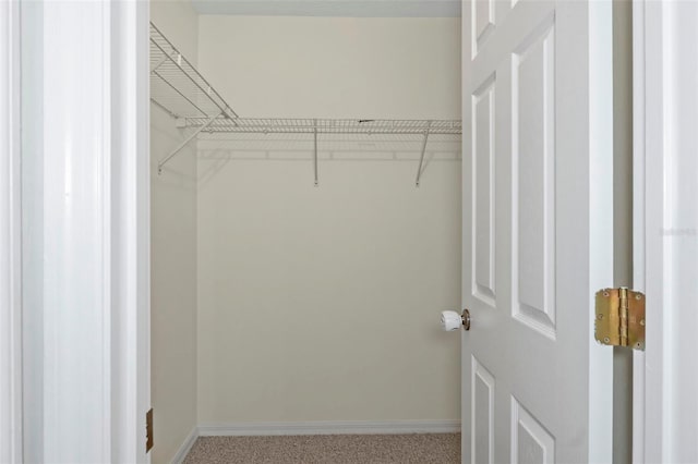 spacious closet featuring light colored carpet