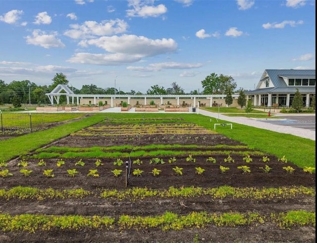 view of home's community featuring a lawn