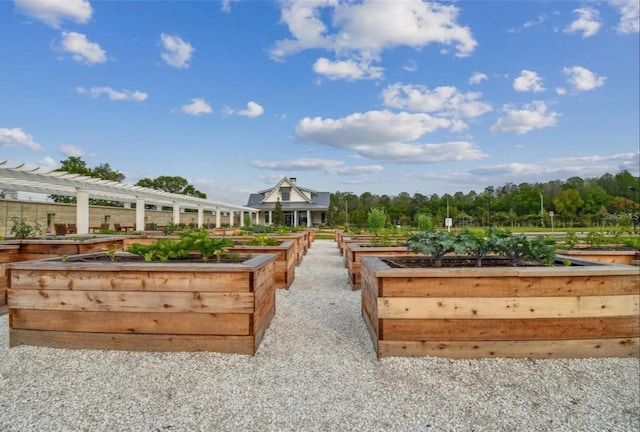 view of gate featuring a garden and a pergola