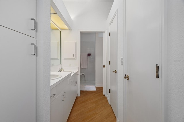 bathroom with wood finished floors and vanity