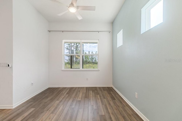 18629 Coastal Shore Ter, Land O Lakes, FL 34638 - photo 14