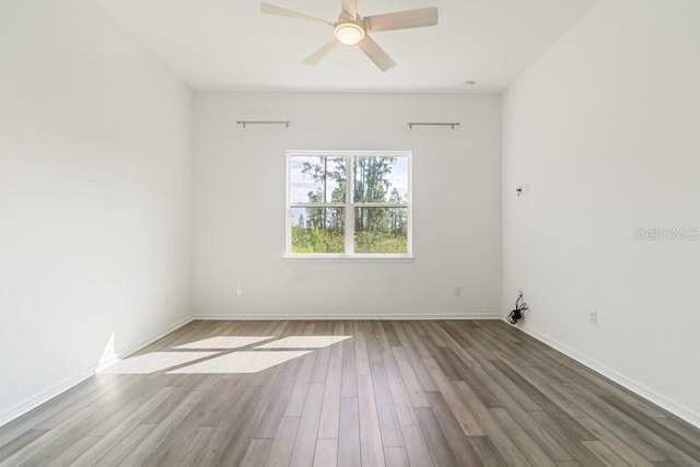 18629 Coastal Shore Ter, Land O Lakes, FL 34638 - photo 17