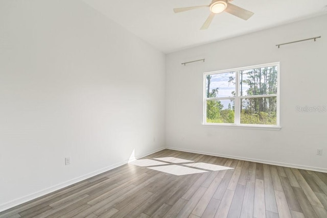 18629 Coastal Shore Ter, Land O Lakes, FL 34638 - photo 18
