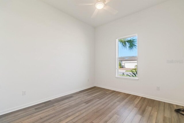 18629 Coastal Shore Ter, Land O Lakes, FL 34638 - photo 24