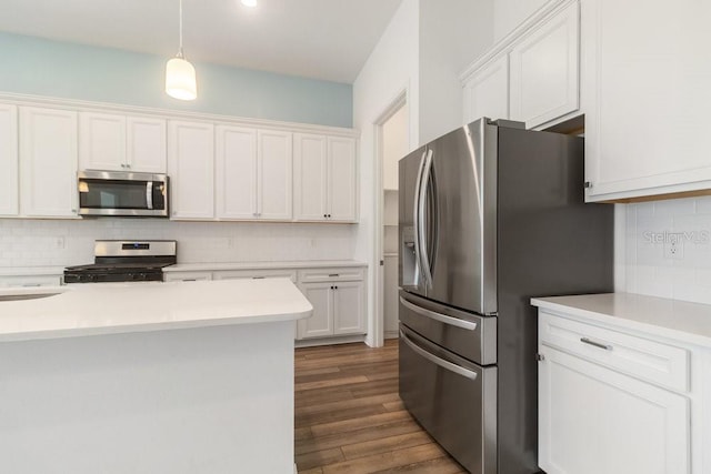 18629 Coastal Shore Ter, Land O Lakes, FL 34638 - photo 9