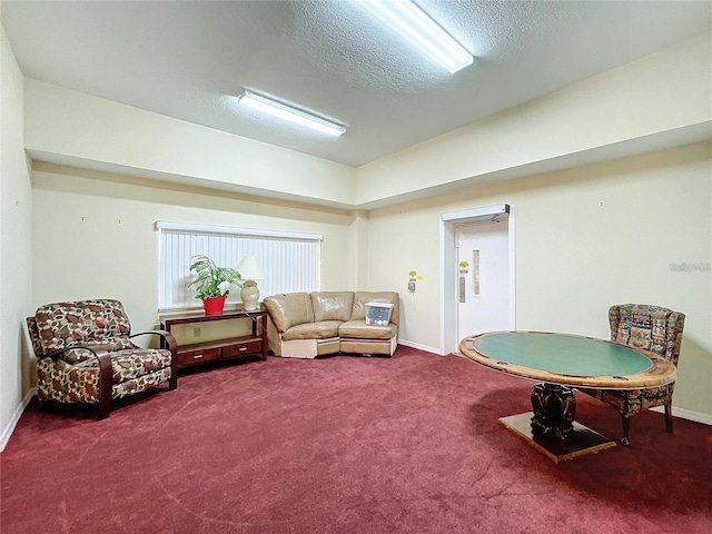 8447 Pavilion Dr, Hudson, FL 34667 - living area with baseboards, carpet floors, and a textured ceiling