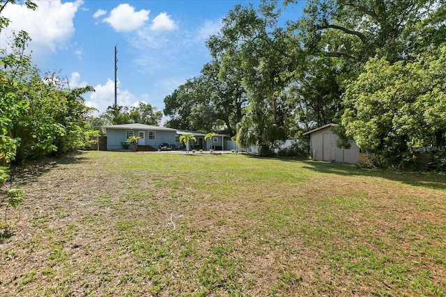 1101 N Betty Ln, Clearwater, FL 33755 - view of yard with a storage unit