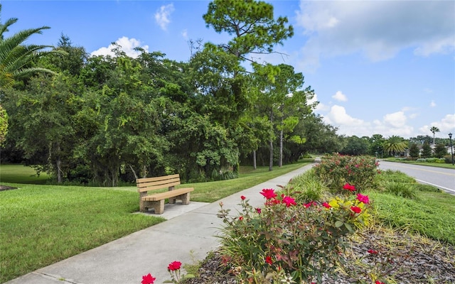 view of property's community featuring a lawn