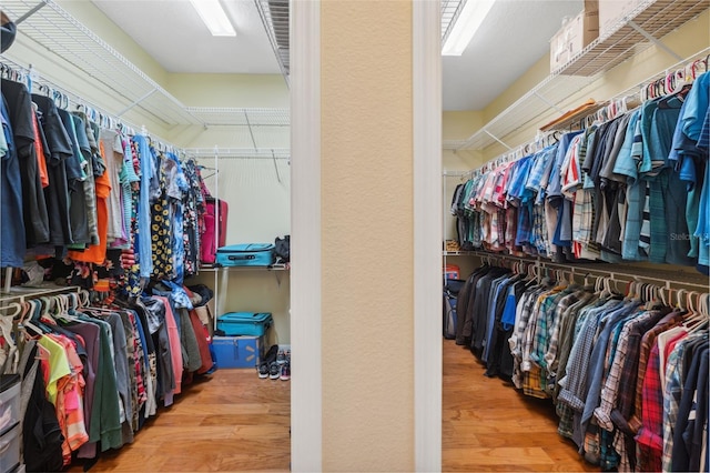 walk in closet featuring wood-type flooring