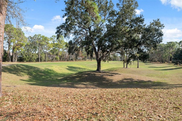 surrounding community featuring a yard