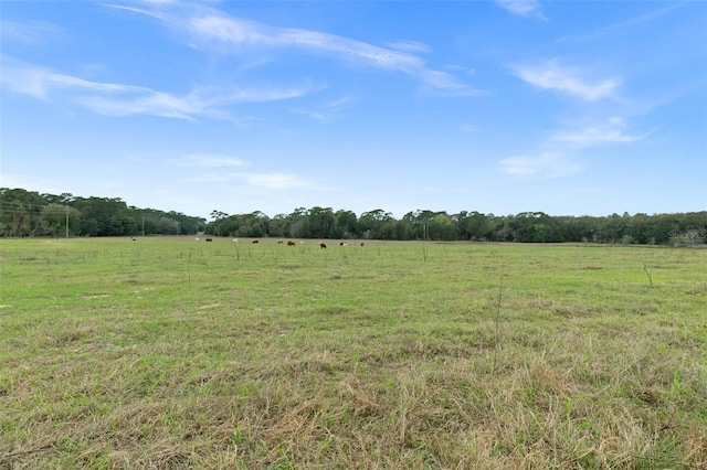 view of local wilderness with a rural view