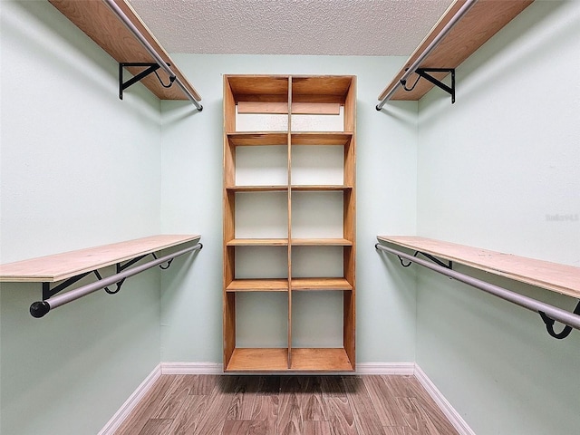 walk in closet featuring dark wood-type flooring