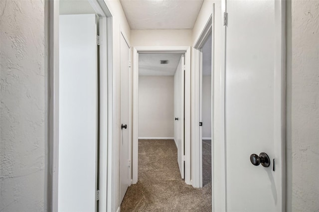 hallway featuring carpet flooring