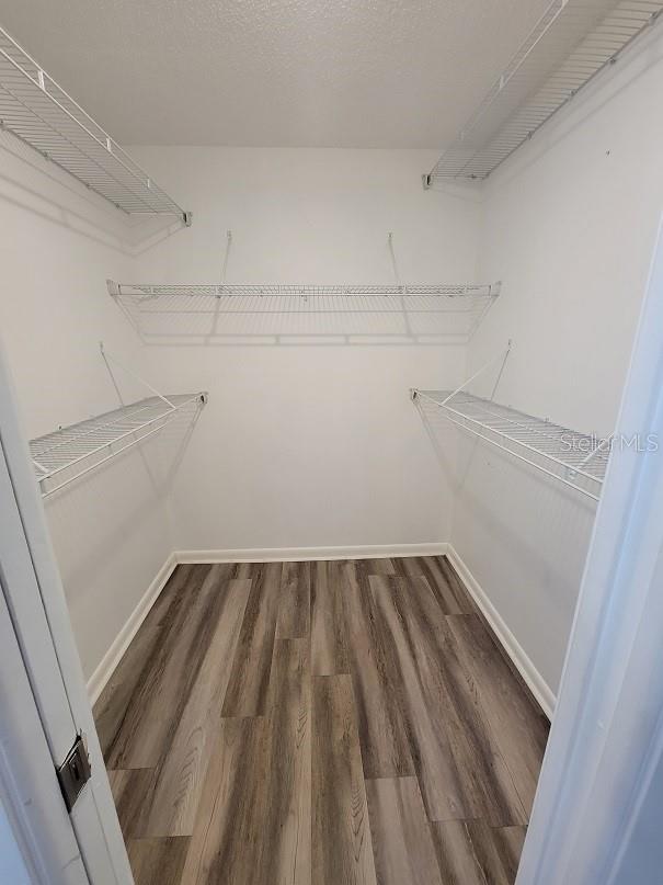 spacious closet featuring dark hardwood / wood-style floors