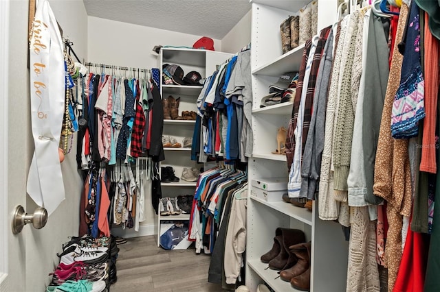 walk in closet with hardwood / wood-style flooring