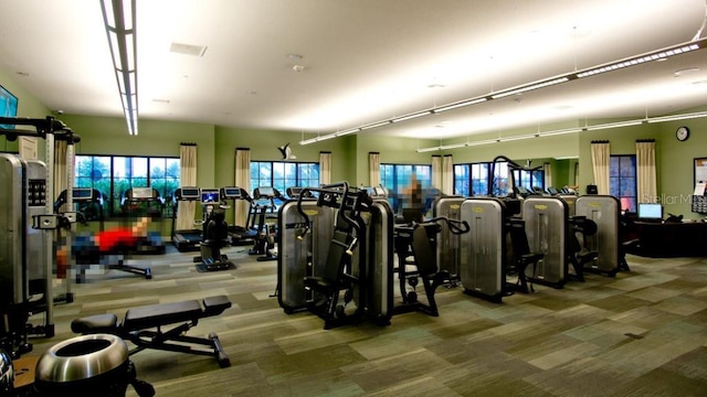 exercise room with carpet flooring