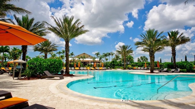 view of swimming pool with a patio area