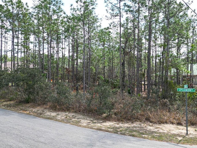 Listing photo 3 for 3 Speceberry Ct S, Homosassa FL 34446