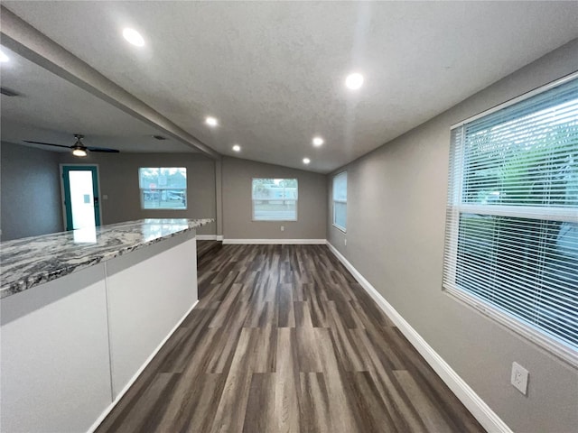 interior space with dark wood-type flooring and vaulted ceiling