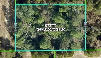 13408 Cormorant Rd, Brooksville FL, 34614 land for sale