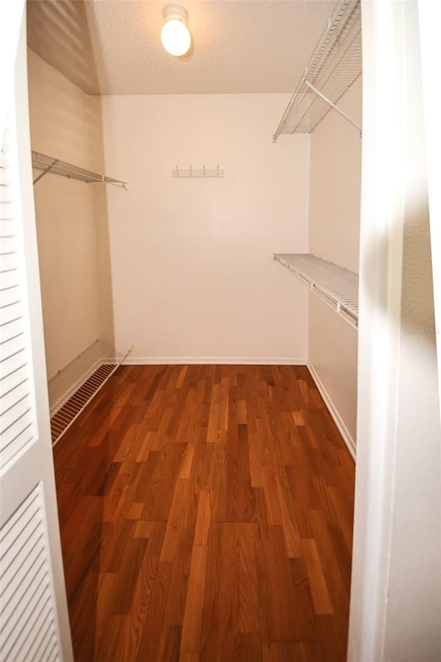 walk in closet featuring dark hardwood / wood-style flooring