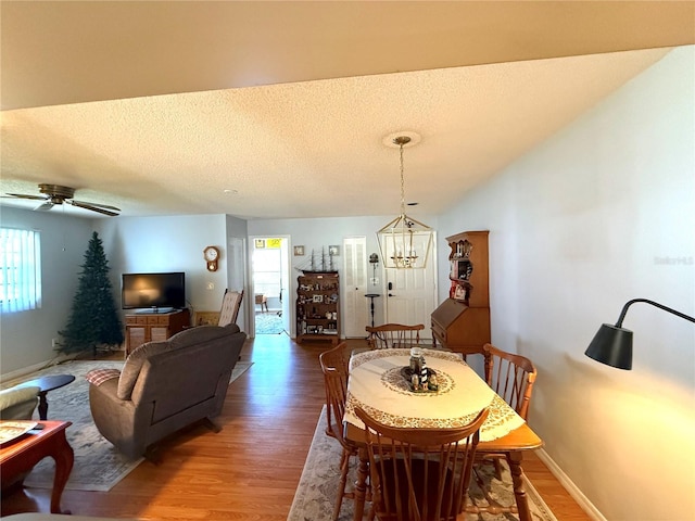 dining room with plenty of natural light, wood-type flooring, and a textured ceiling