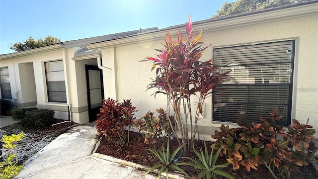 view of property exterior featuring stucco siding