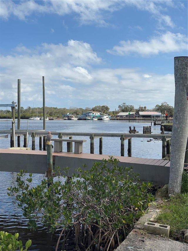 view of dock with a water view