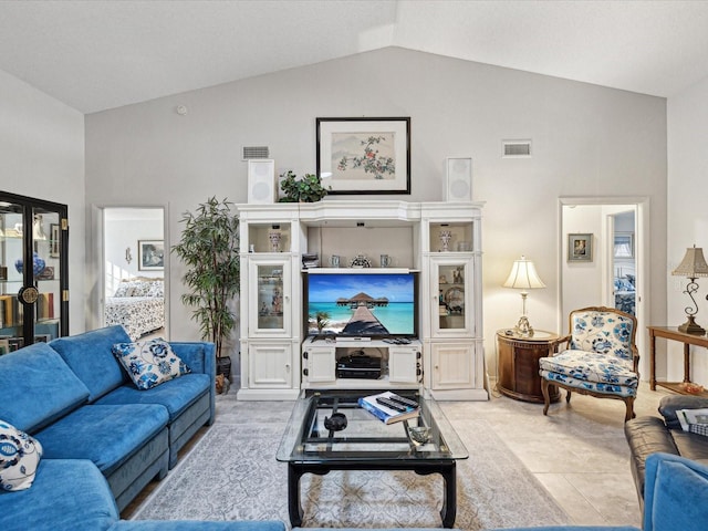 living room featuring lofted ceiling