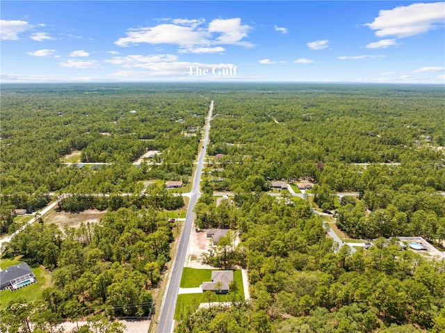 11345 Thrasher Ave, Weeki Wachee, FL 34614 - aerial view of a heavily wooded area