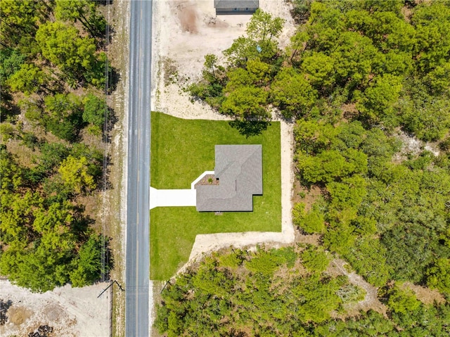 11345 Thrasher Ave, Weeki Wachee, FL 34614 - bird's eye view