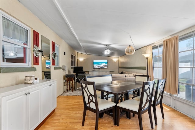 dining space featuring light wood-style floors, ceiling fan, and a wealth of natural light