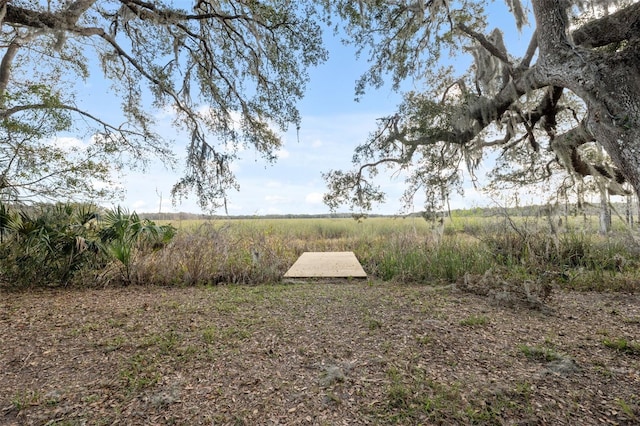 view of yard with a rural view