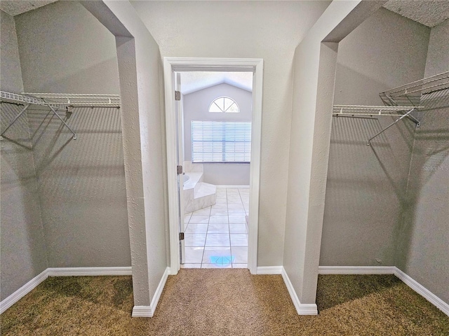 walk in closet featuring lofted ceiling and carpet