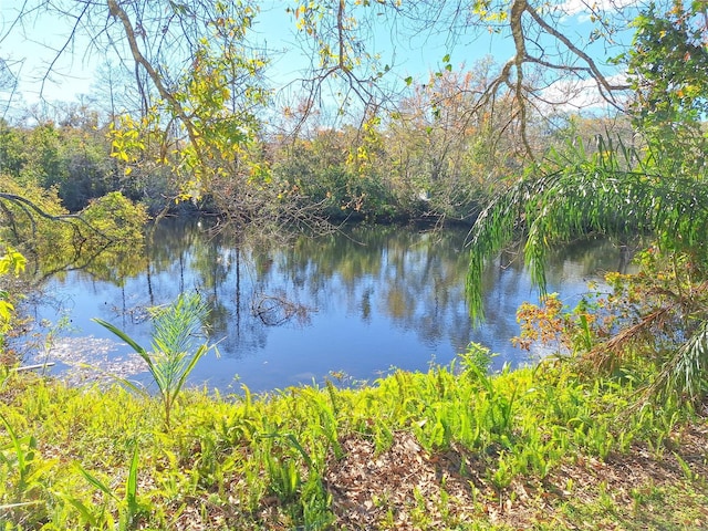 property view of water featuring a view of trees