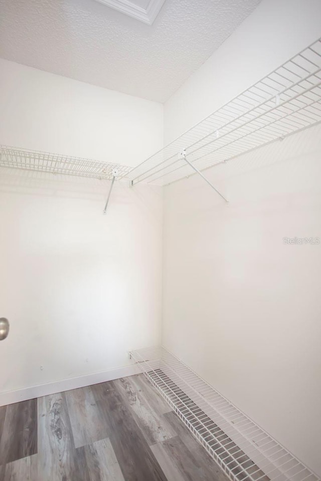 spacious closet with wood finished floors