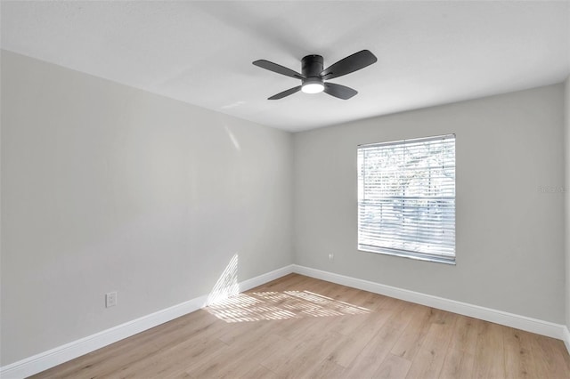 unfurnished room with ceiling fan and light hardwood / wood-style flooring