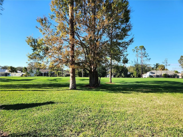 surrounding community with a yard and a residential view