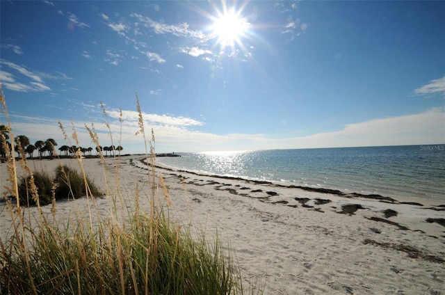 view of water feature featuring a beach view