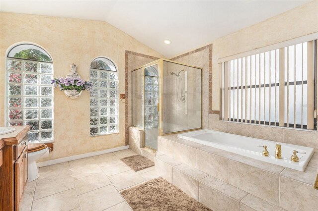 full bathroom featuring lofted ceiling, a shower stall, a wealth of natural light, and vanity