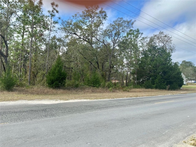 10492 Thrasher Ave, Weeki Wachee FL, 34614 land for sale