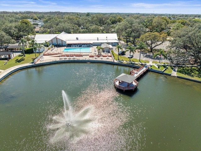 bird's eye view with a water view and a forest view