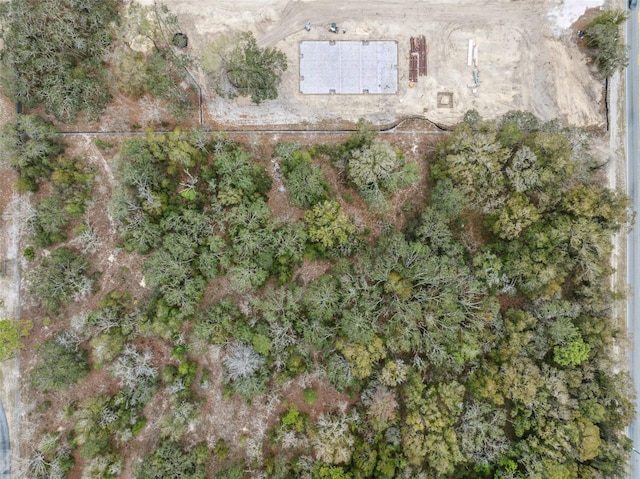16308 Shady Hills Rd, Spring Hill, FL 34610
