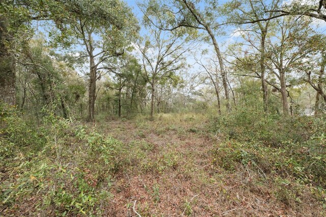 16308 Shady Hills Rd, Spring Hill, FL 34610