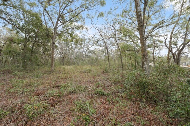 16308 Shady Hills Rd, Spring Hill, FL 34610