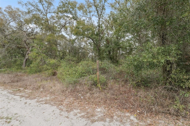 16308 Shady Hills Rd, Spring Hill, FL 34610