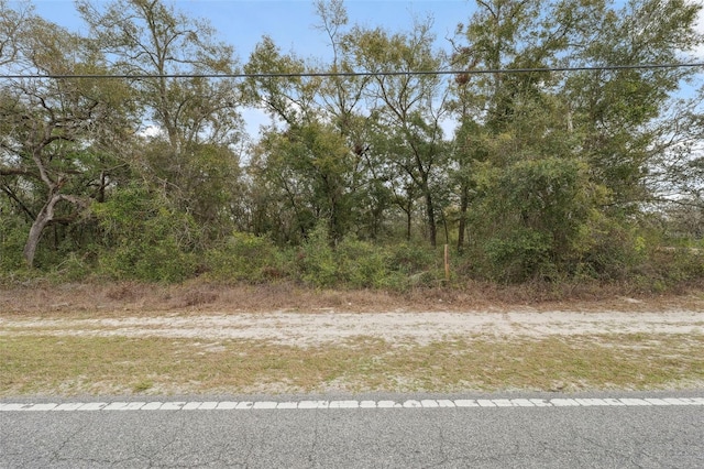 16308 Shady Hills Rd, Spring Hill, FL 34610